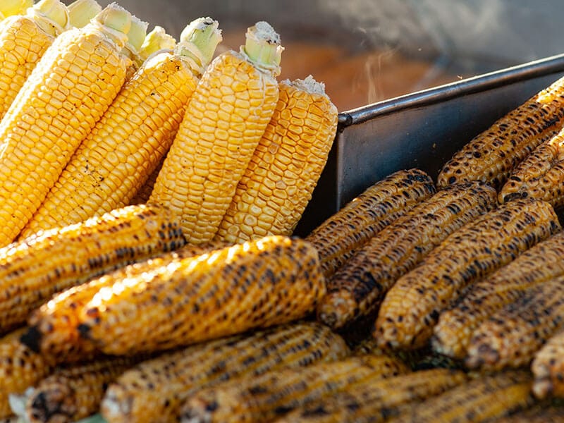 Mısır Turkish Corn