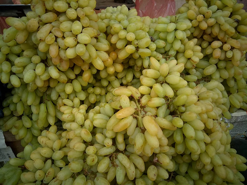 Moon Balls Grapes