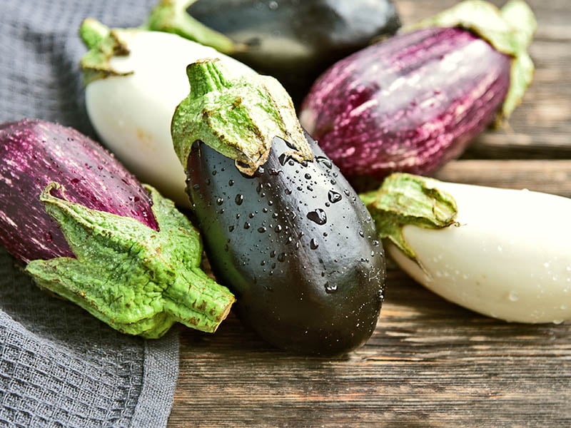 More Eggplant Varieties