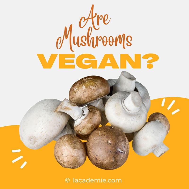 Mushroom Vegan
