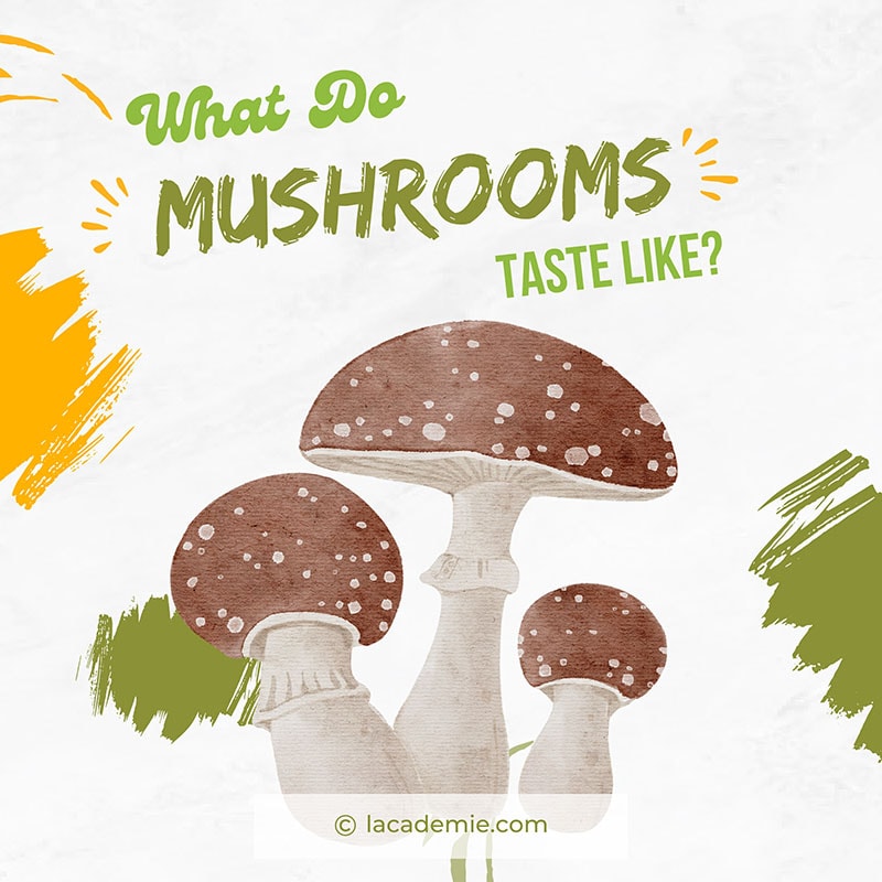 Mushrooms Taste Like