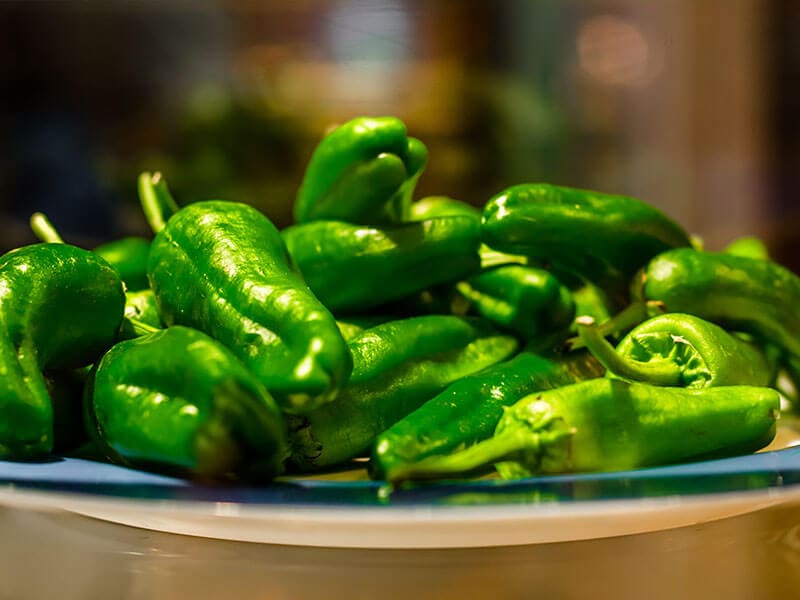 Padron Pepper