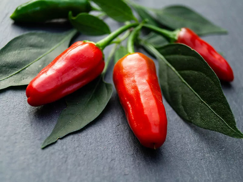 Piri Piri Pepper