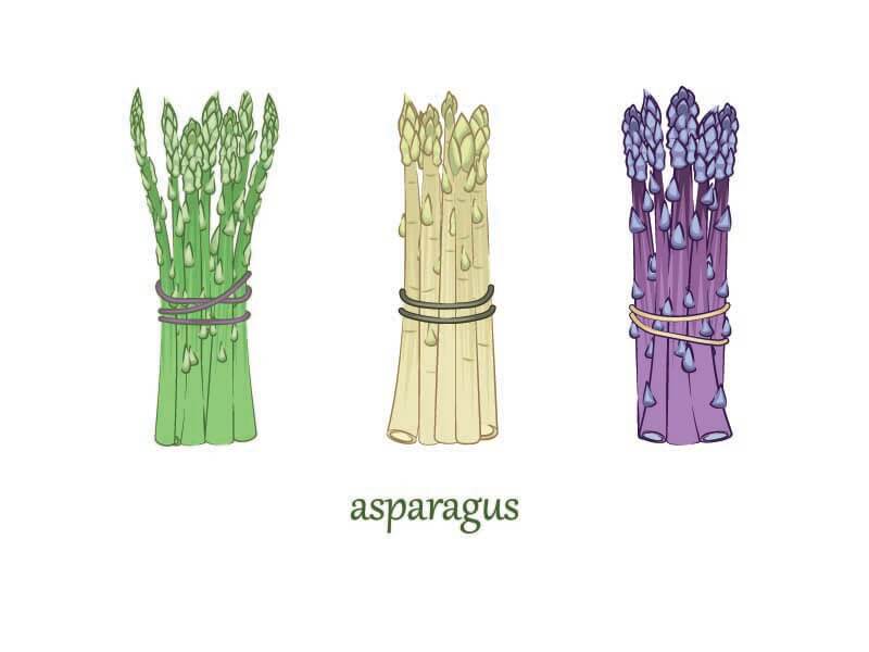 Plenty Of Different Types Of Asparagus