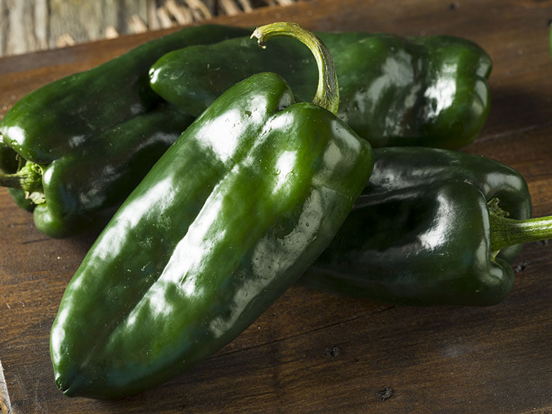 Poblano Pepper