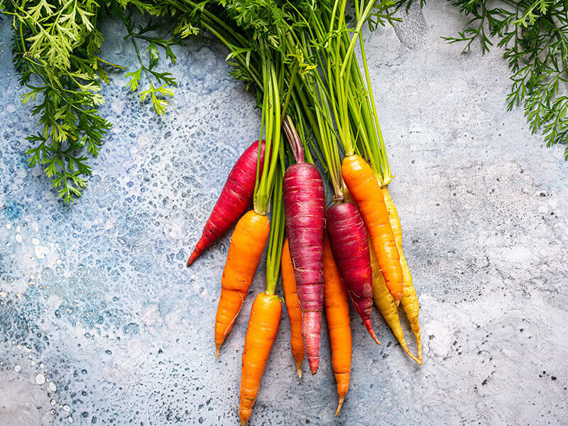 Rainbow Carroty Variety