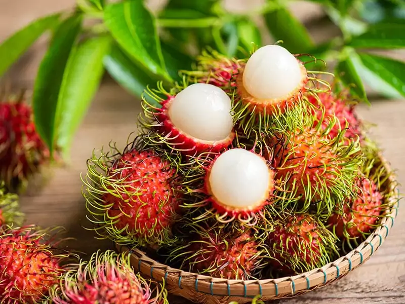 Rambutan Ngor