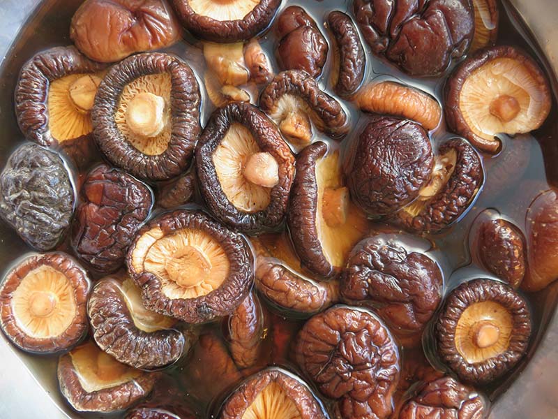 Reasonable Dried Mushrooms