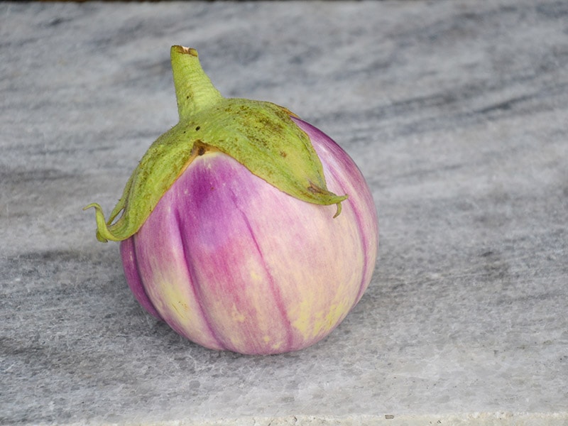 Rosa Bianca Eggplants