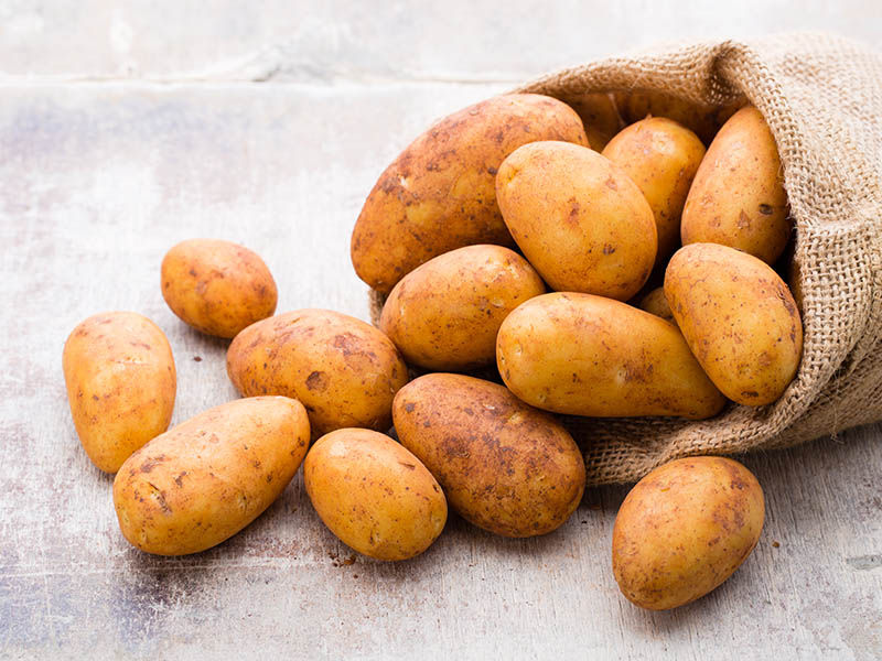 Russet Potatoes