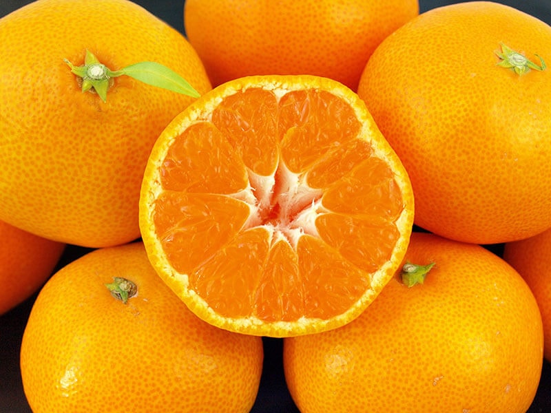 Satsuma Orange