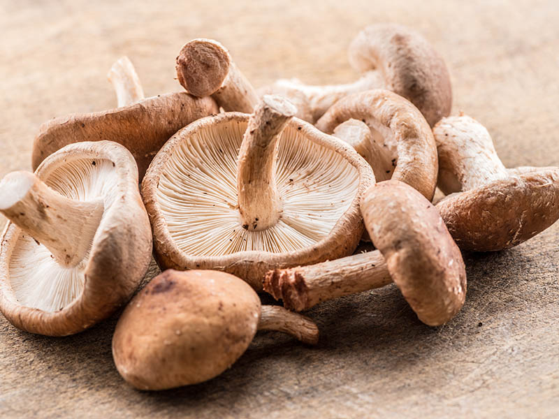 Shiitake Mushrooms