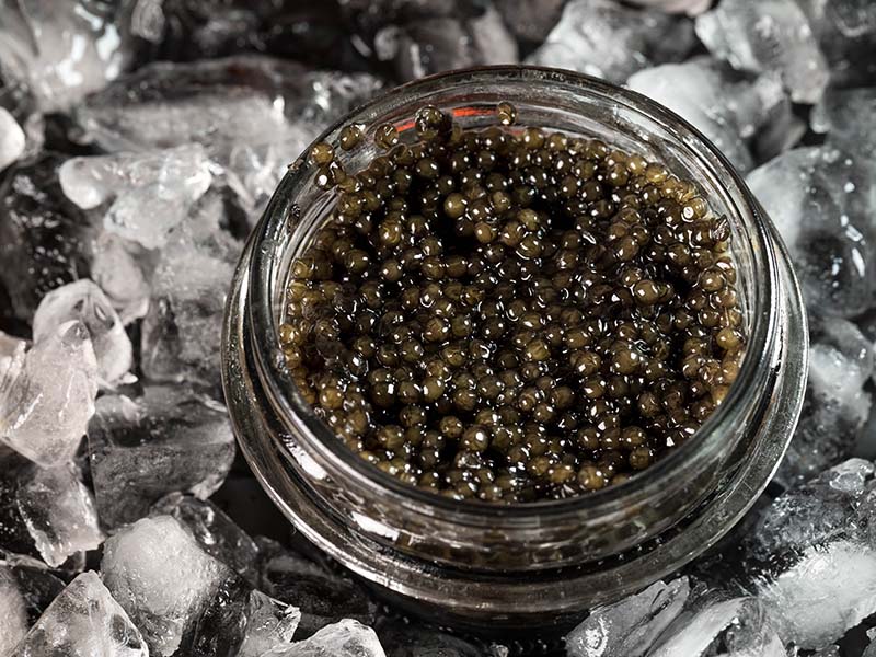 Siberian Caviar