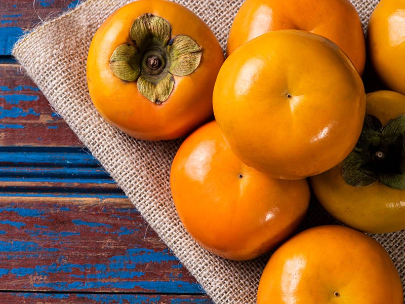 Species Of Persimmons