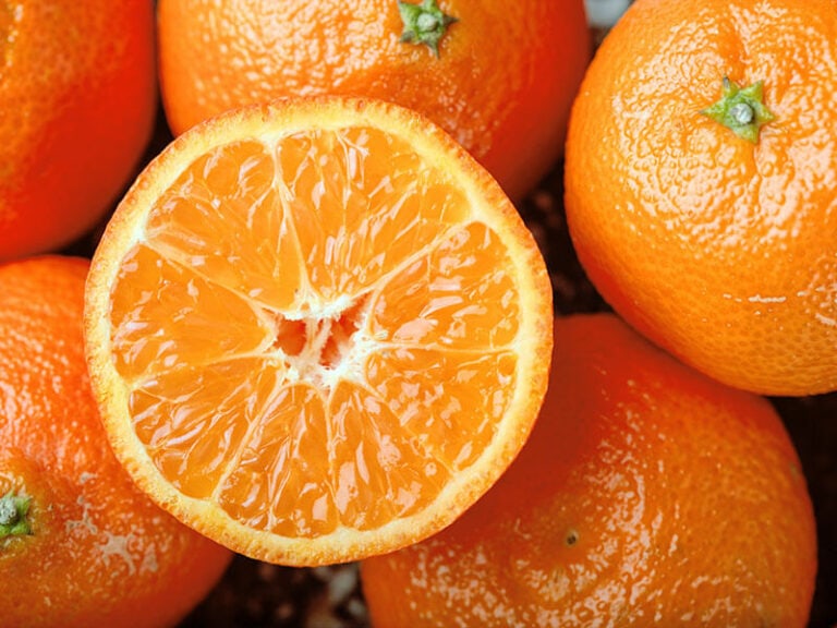 17 Different Types Of Oranges To Make Your Mouth Water 2023