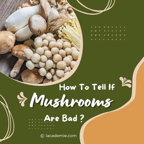 How to Identify Bad Mushrooms The Ultimate Guide for 2024