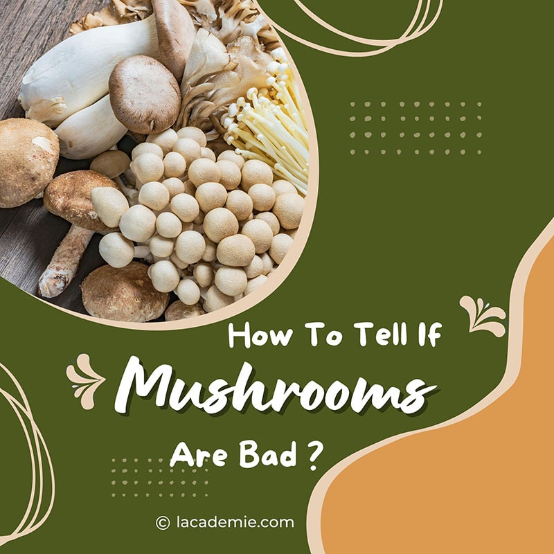 Tell If Mushrooms Are Bad