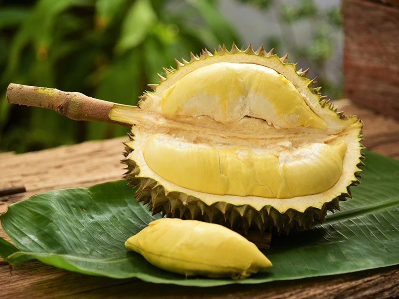 The Durian