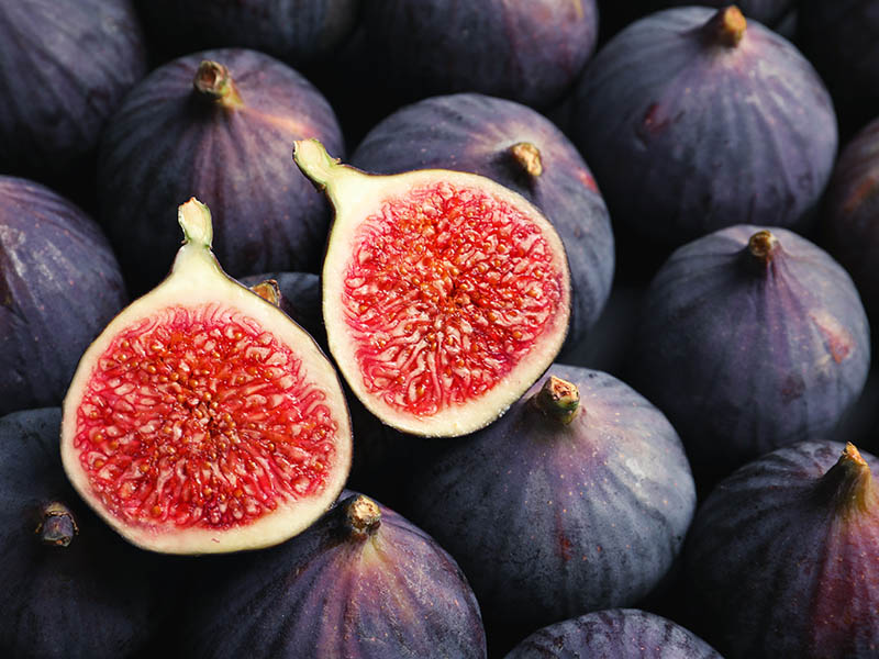 The Fig Supply In China