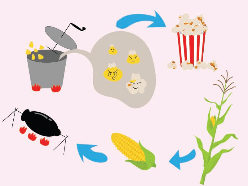 The Formation Process Of Popcorn