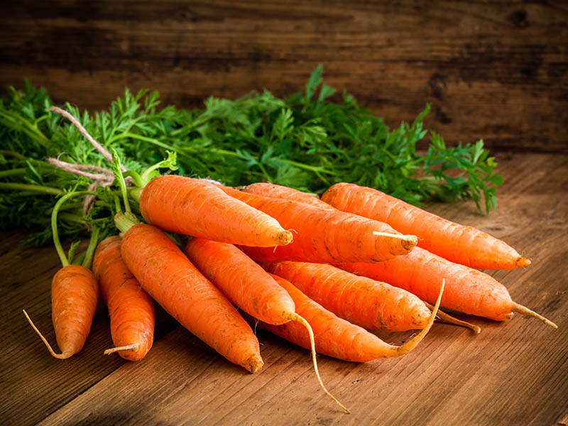 The Great Nutritious Profile Of Carrots