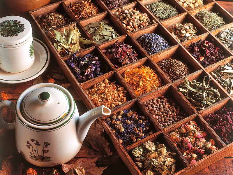 Tisane Is Mix Of Herbal Products