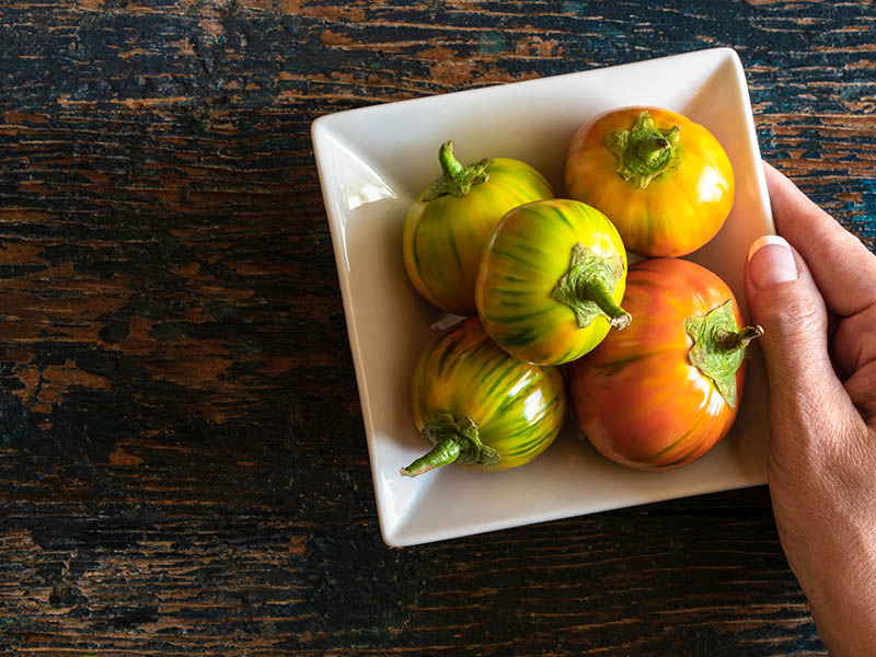 Turkish Orange Eggplants