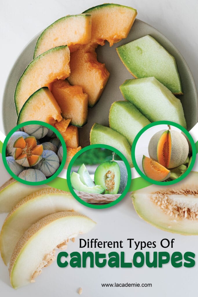 Types Of Cantaloupes