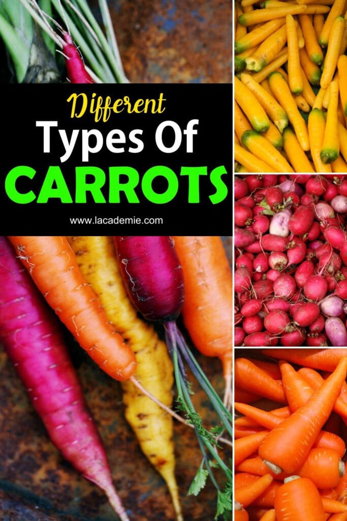 Types Of Carrots