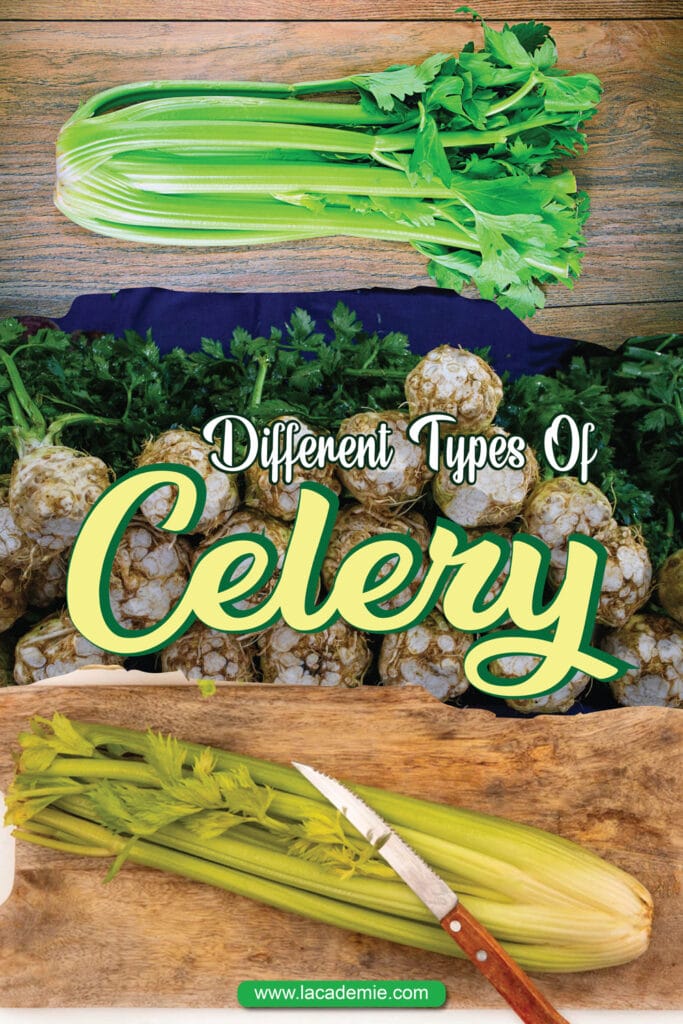 Types Of Celery