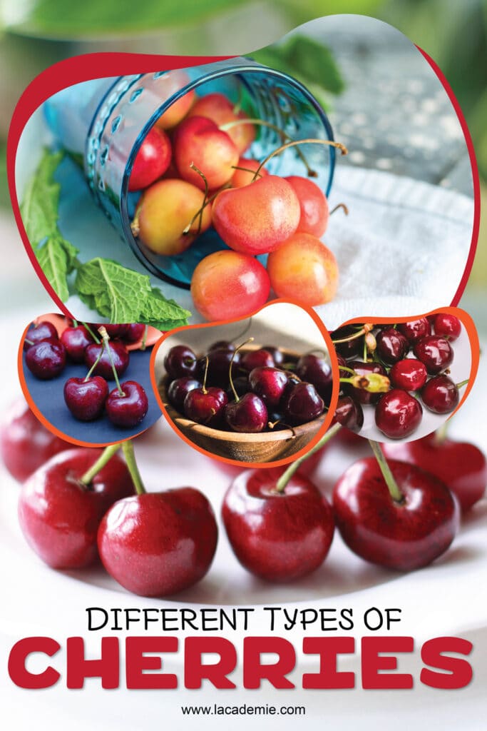 Types Of Cherries