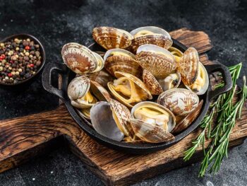 Types Of Clams