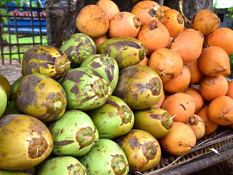 Types Of Coconut