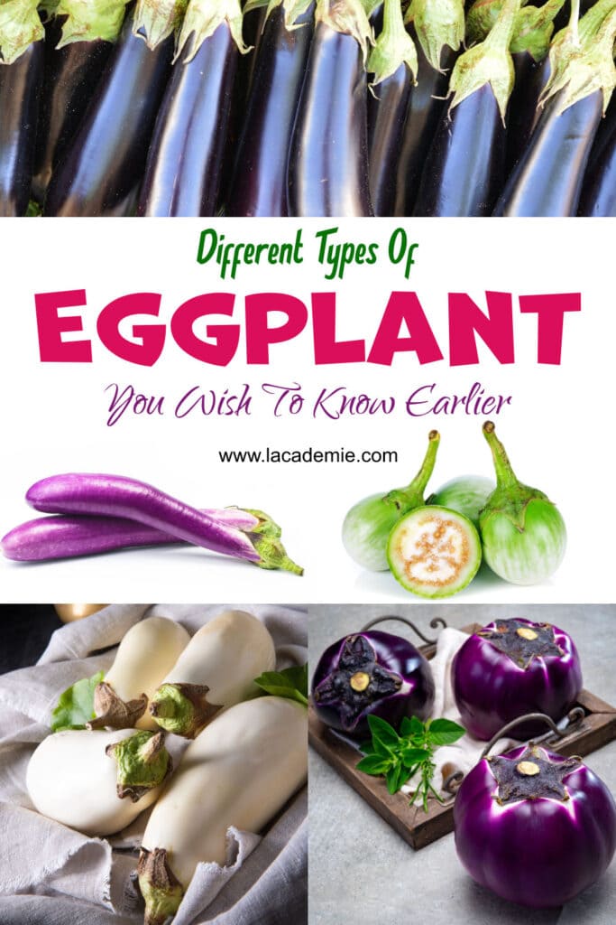 Types Of Eggplant