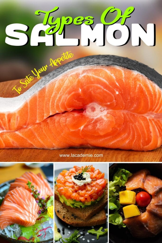 Types Of Salmon