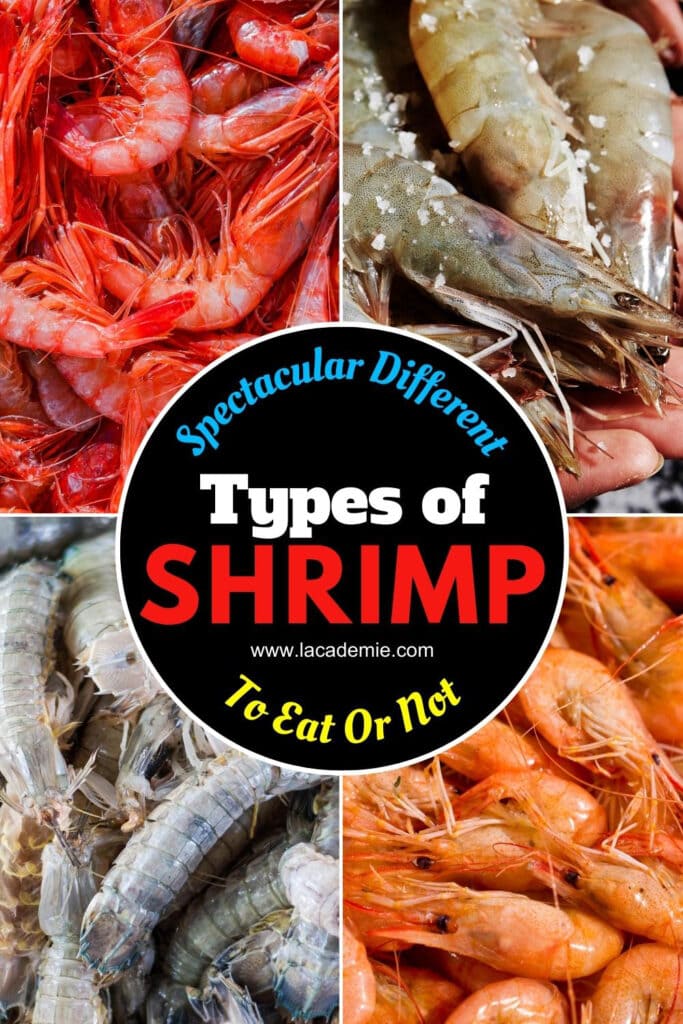 Types of Shrimp