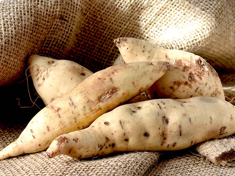 White Sweet Potatoes