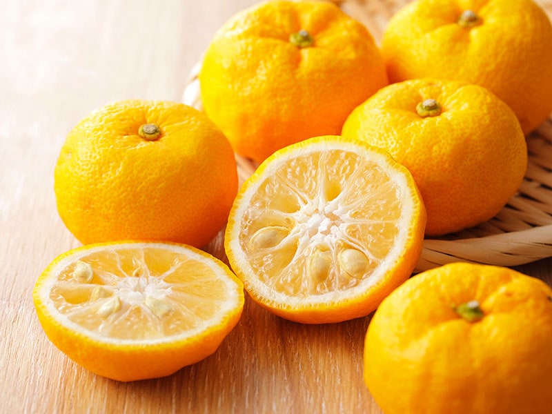 Yuzu Is A Famous Citrus Fruit