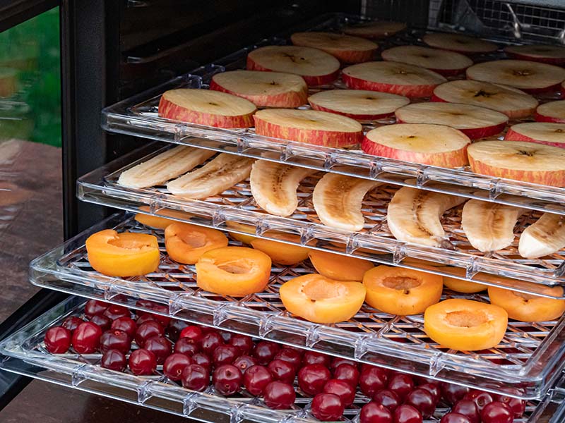 A Food Dehydrator