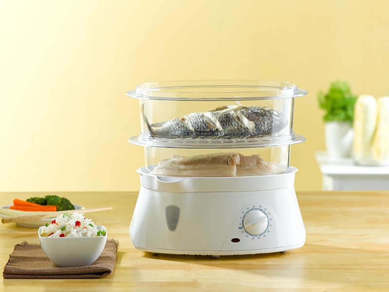 An Electric Steamer