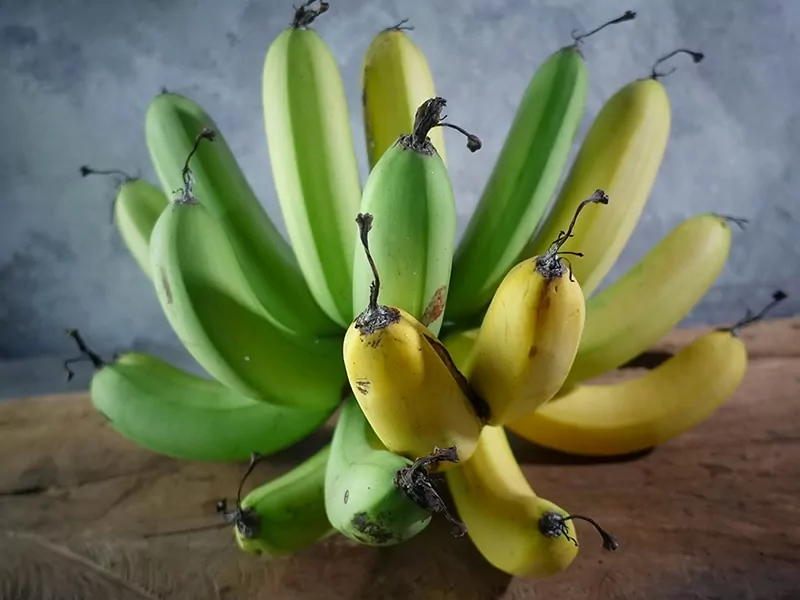 Barangan Banana