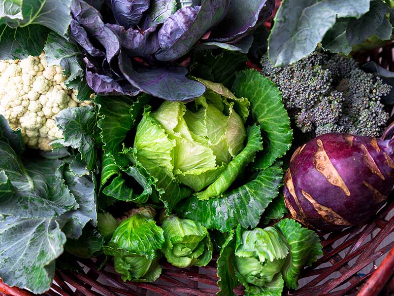 Cruciferous Vegetables