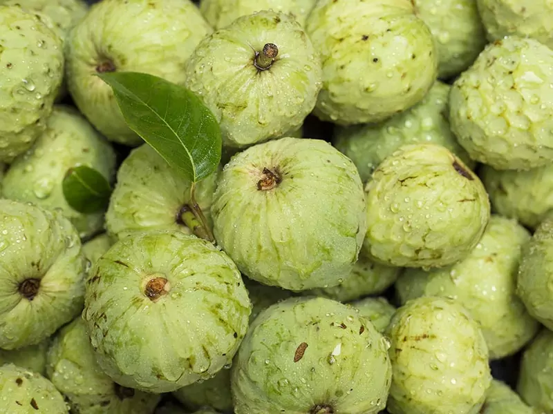 Custard Apple Cuba