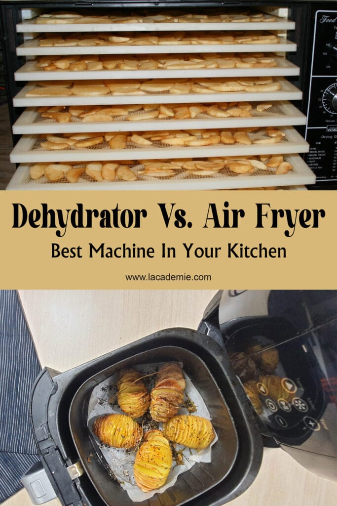 Dehydrator Vs Air Fryer