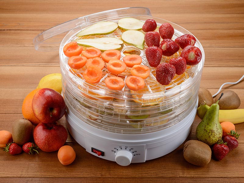 Design Vertical Food Dehydrator