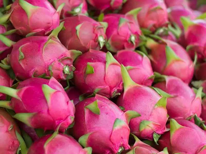 Dragon Pitaya Fruit