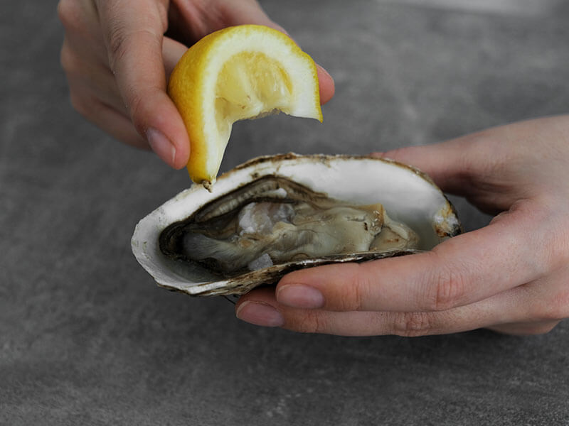 Eastern Oysters