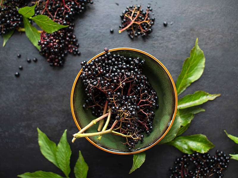 Elderberries Peru