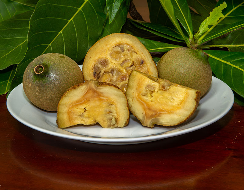 Genipapo Jenipapo Fruit