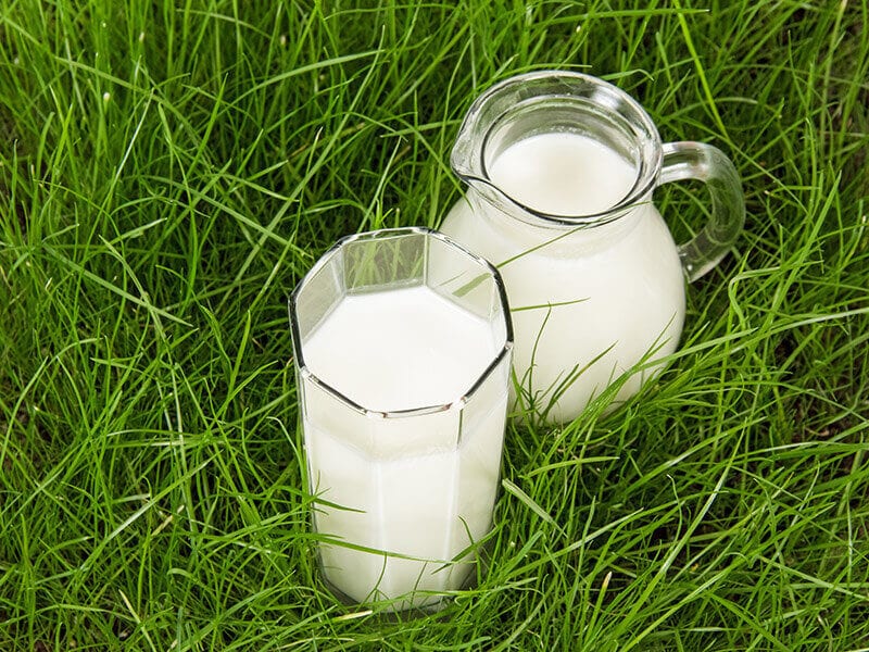 Grass Fed Milk